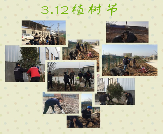 寶雞捷銳“迎春風(fēng)，綠家園”植樹節(jié)(圖3)